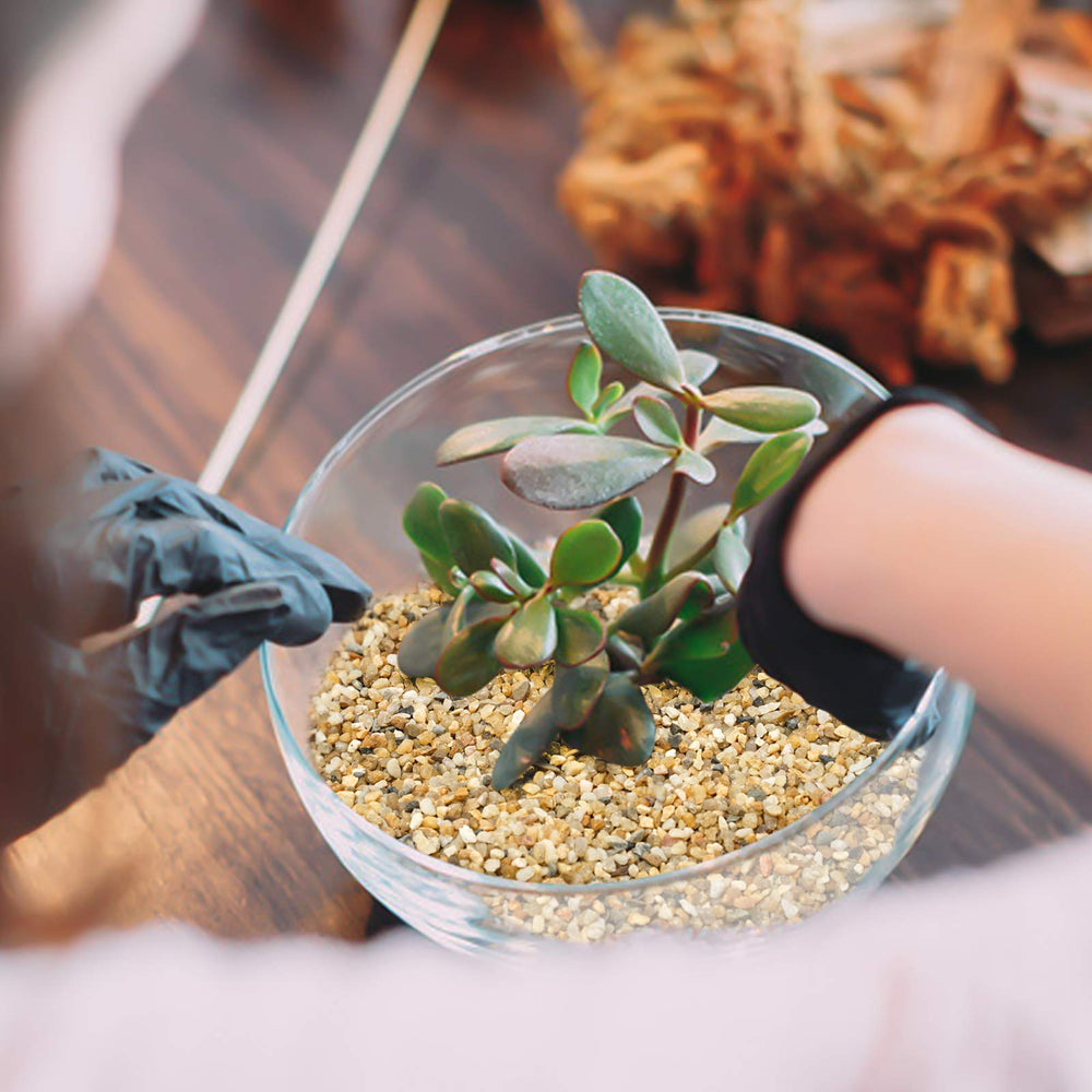OUPENG coarse sand stone used in aquarium for subtle contrast and clarity