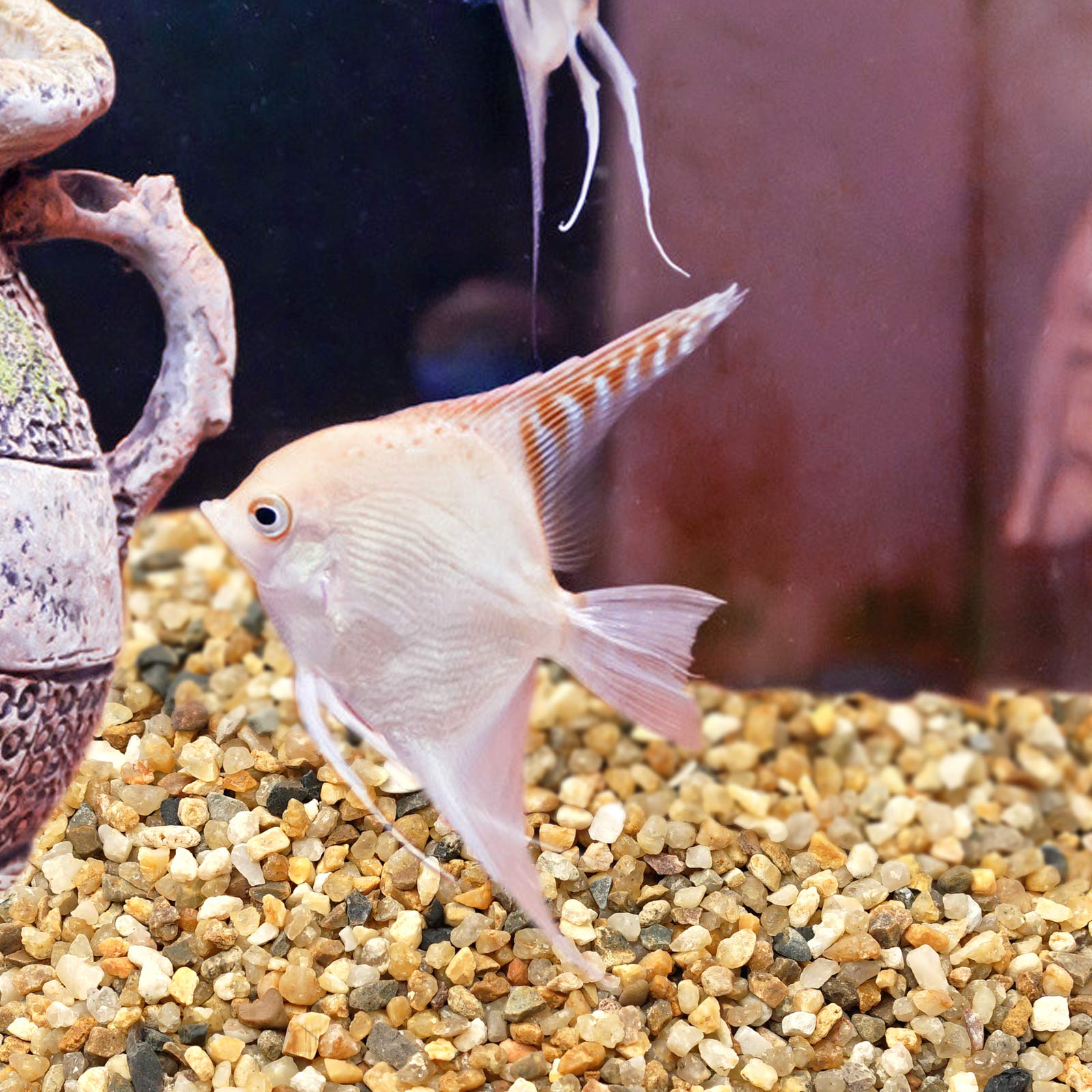 OUPENG succulent terrarium with coarse sand stone for drainage