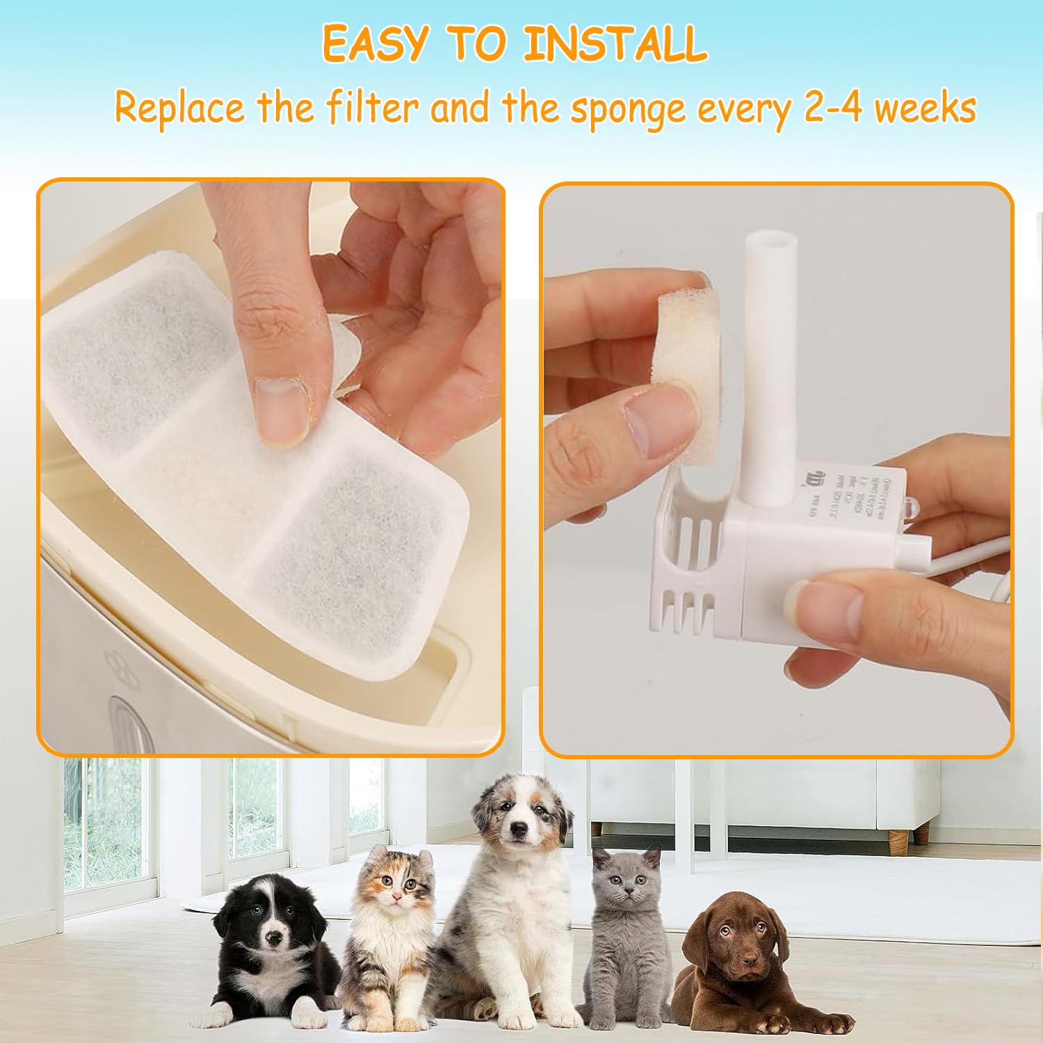 OUPUSES eco-friendly, food-grade materials ensure safe hydration for pets