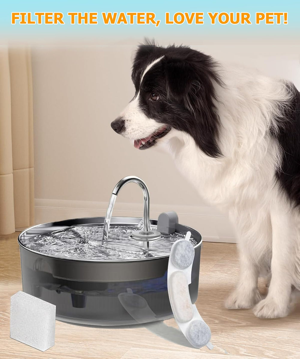 OUPUSES Smartoo pet-hydration-fountain-shot captures pets drinking refreshed water