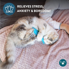 Our Pets catnip-filled toy with North American Cosmic Catnip inviting playful sniffing.