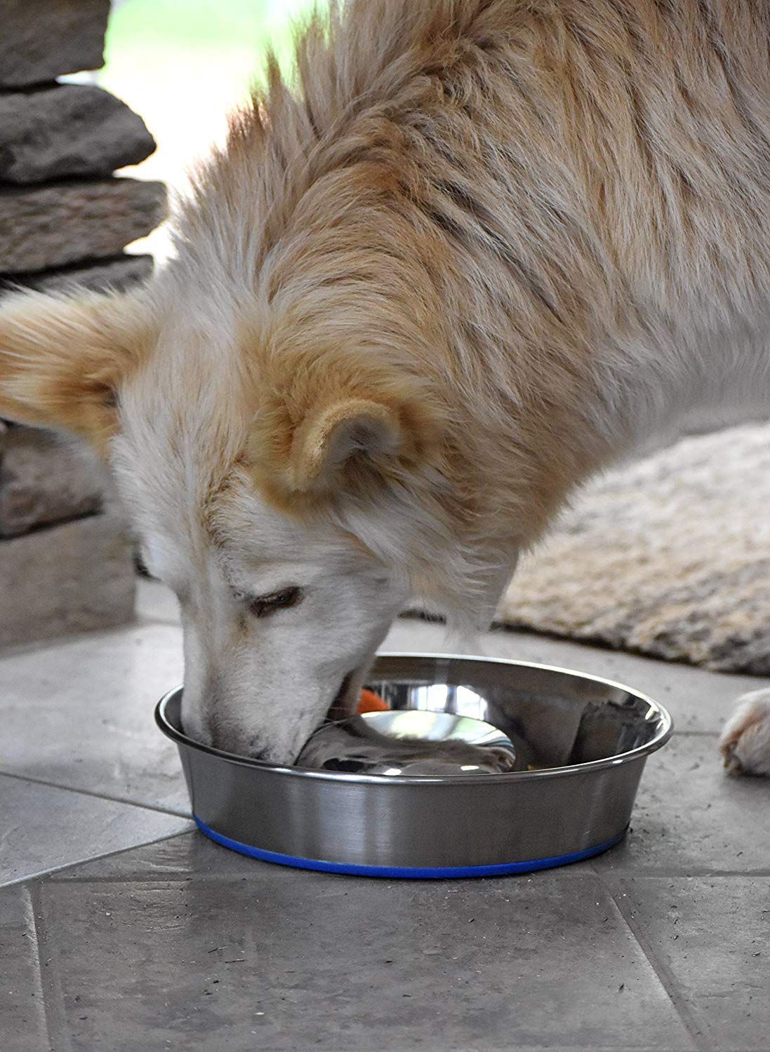 Our Pets Durapet durable dog bowl supports long-term feeding routines.