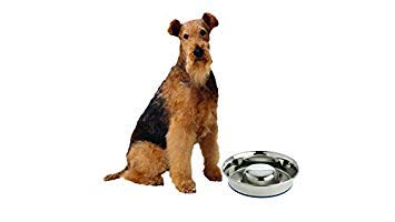 Our Pets Durapet large silver bowl accommodates bigger dogs comfortably.