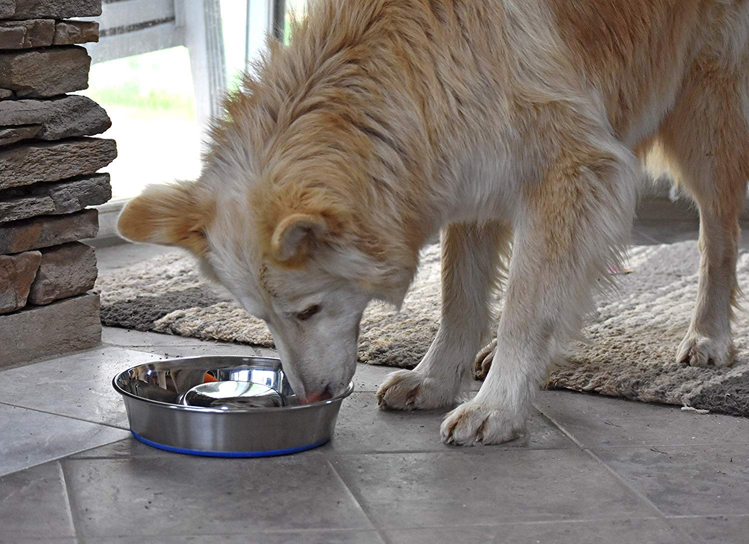 Our Pets Durapet odor-resistant stainless steel supports easy cleanup after meals.