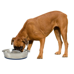 Our Pets Durapet slow-feed bowl bottom-skid-ring prevents sliding during feeding.