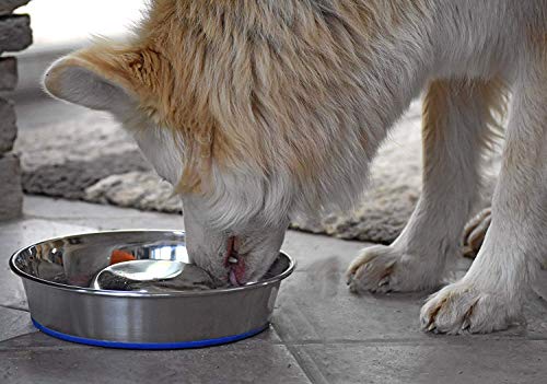 Our Pets Durapet slow-feeder design offers a practical mealtime solution.