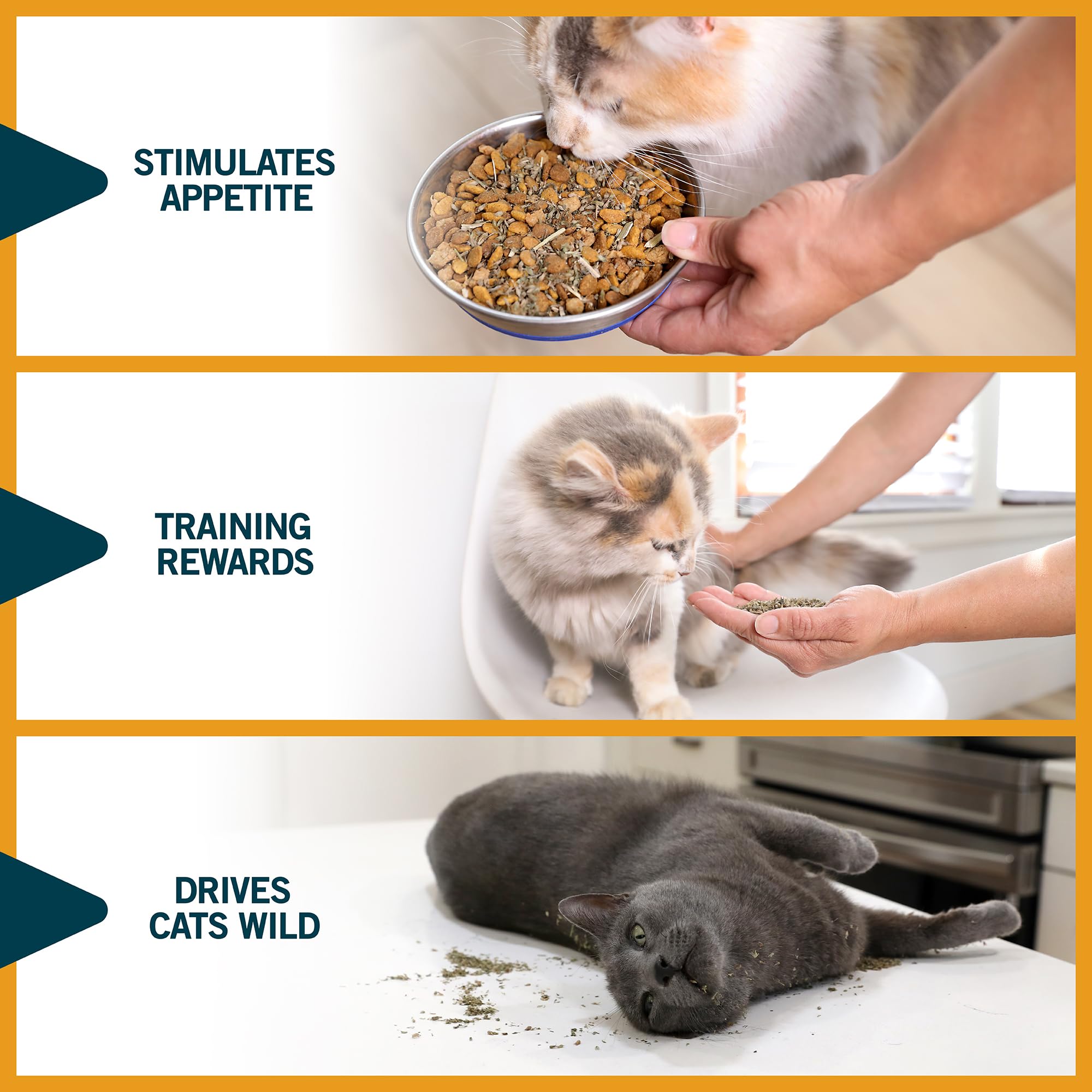 Our Pets premium catnip break-between-exposures promotes ongoing interest.