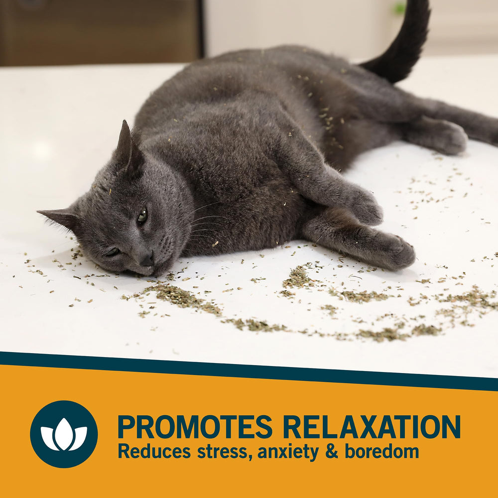 Our Pets premium catnip dried leaf closeup highlights natural aroma.