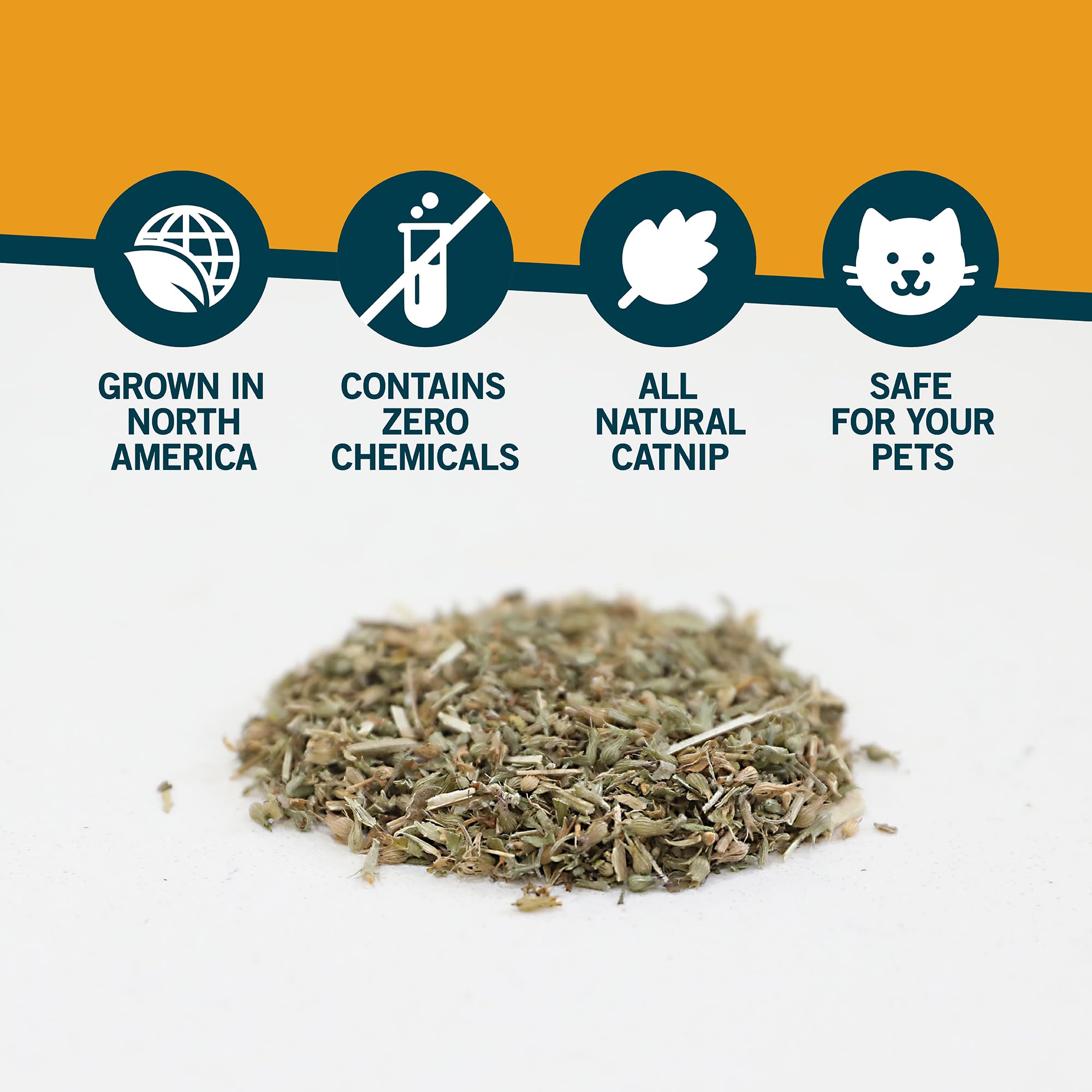 Our Pets premium catnip playtime scene invites cats to chase and paw.