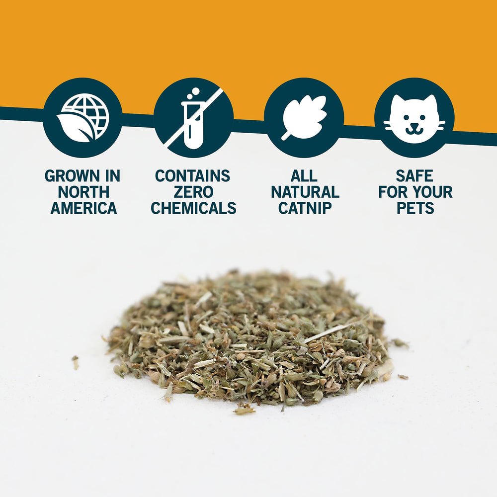 Our Pets premium catnip playtime scene invites cats to chase and paw.