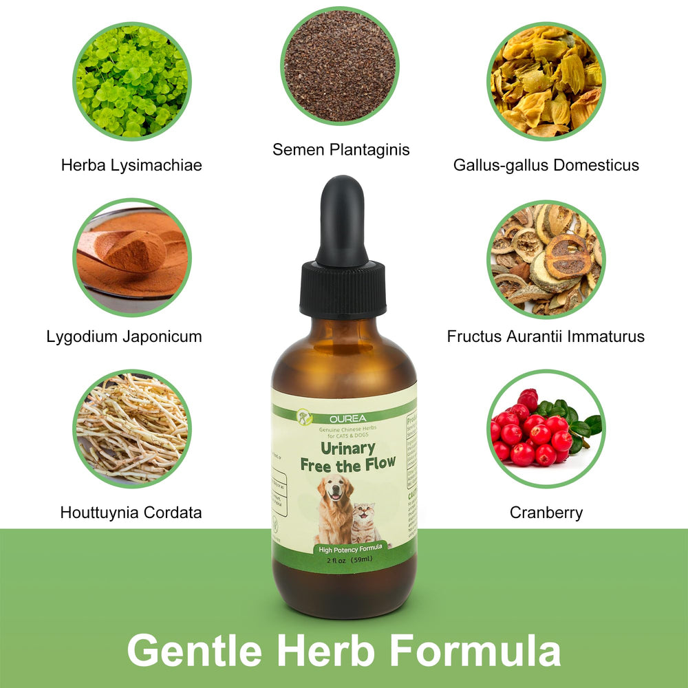 Ourea cat-dog stone-care formula bottle showcases gentle, long-term stone support.