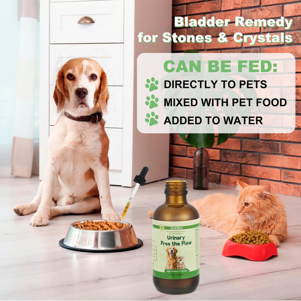 Ourea pet comfort image suggests relief from urinary discomfort and symptoms.