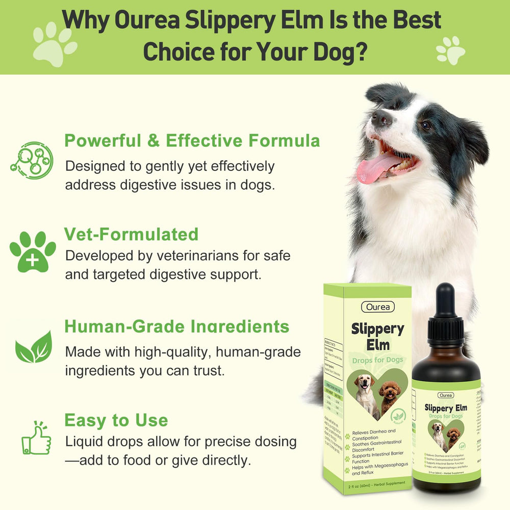 Ourea Slippery Elm Drops dog-bowl-scene—supports digestion during dietary changes