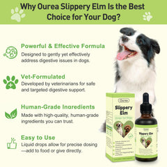 Ourea Slippery Elm Drops dog-bowl-scene—supports digestion during dietary changes