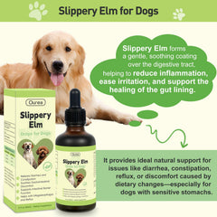 Ourea Slippery Elm Drops ingredients—organic slippery elm inner bark