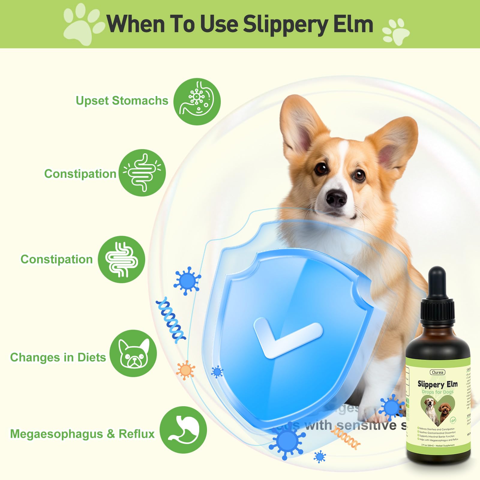 Ourea Slippery Elm Drops liquid-form—simple, safe dosage guidance