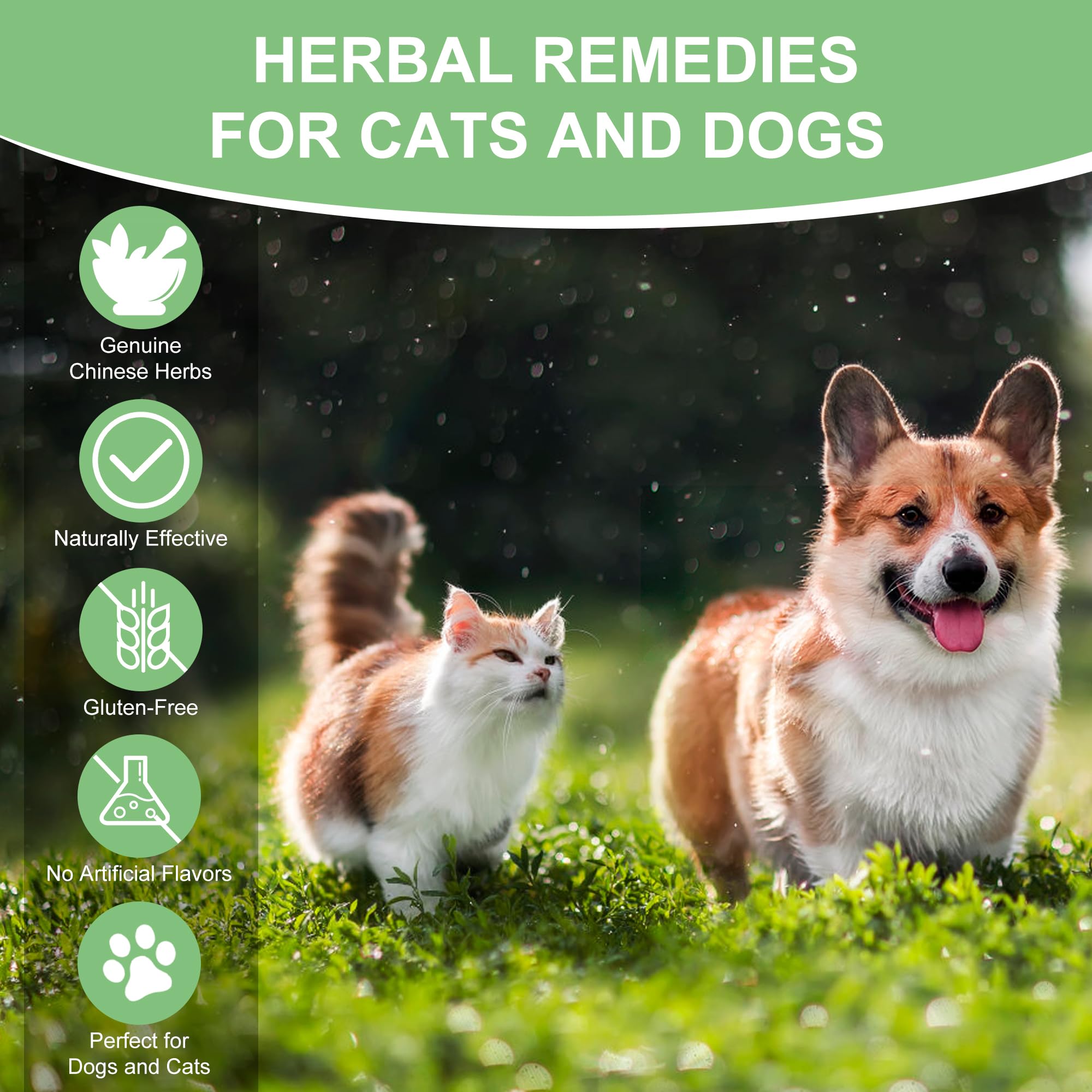 Ourea urinary health supplement packaging signals easy, everyday administration.