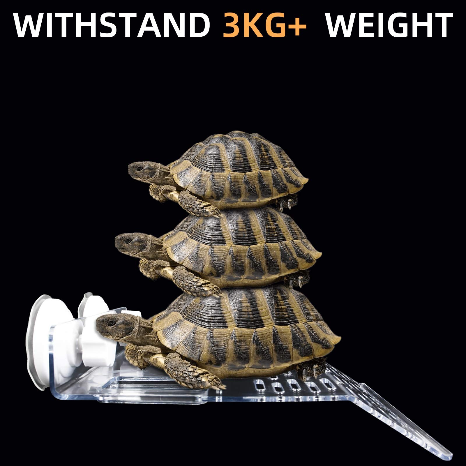 Ourjob turtle basking platform floating habitat enables a relaxed basking space.
