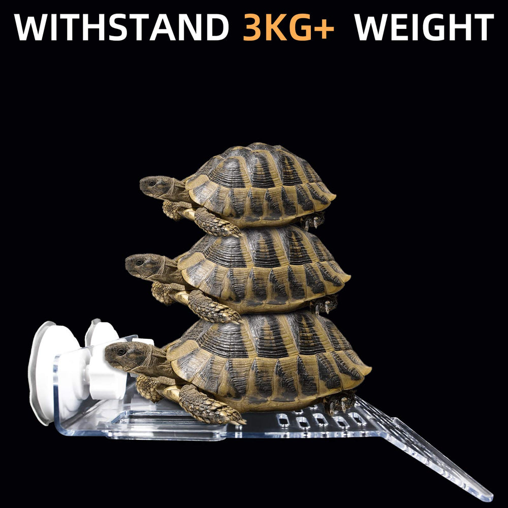 Ourjob turtle basking platform floating habitat enables a relaxed basking space.