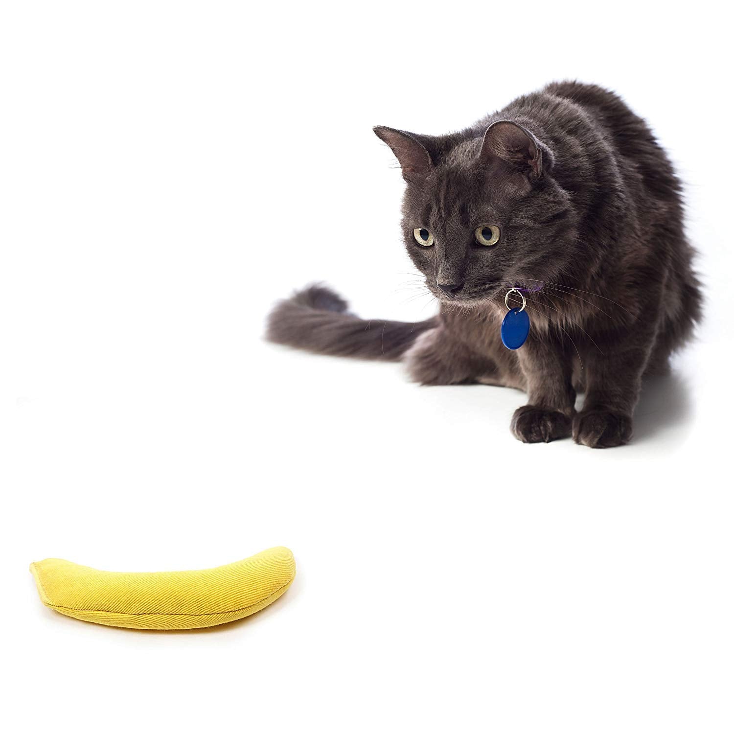 OurPets Cosmic Catnip Toy Snake presents a slender form for interactive batting and stalking.