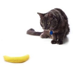 OurPets Cosmic Catnip Toy Snake presents a slender form for interactive batting and stalking.