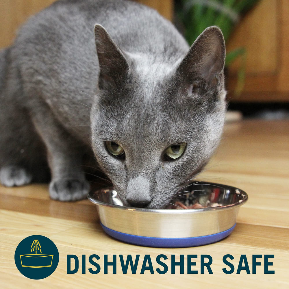 Our Pets DuraPet 1-cup capacity ideal for wet or dry food portions.