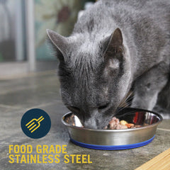 Our Pets DuraPet dishwasher-safe cat bowl for quick, hygienic cleaning after meals.
