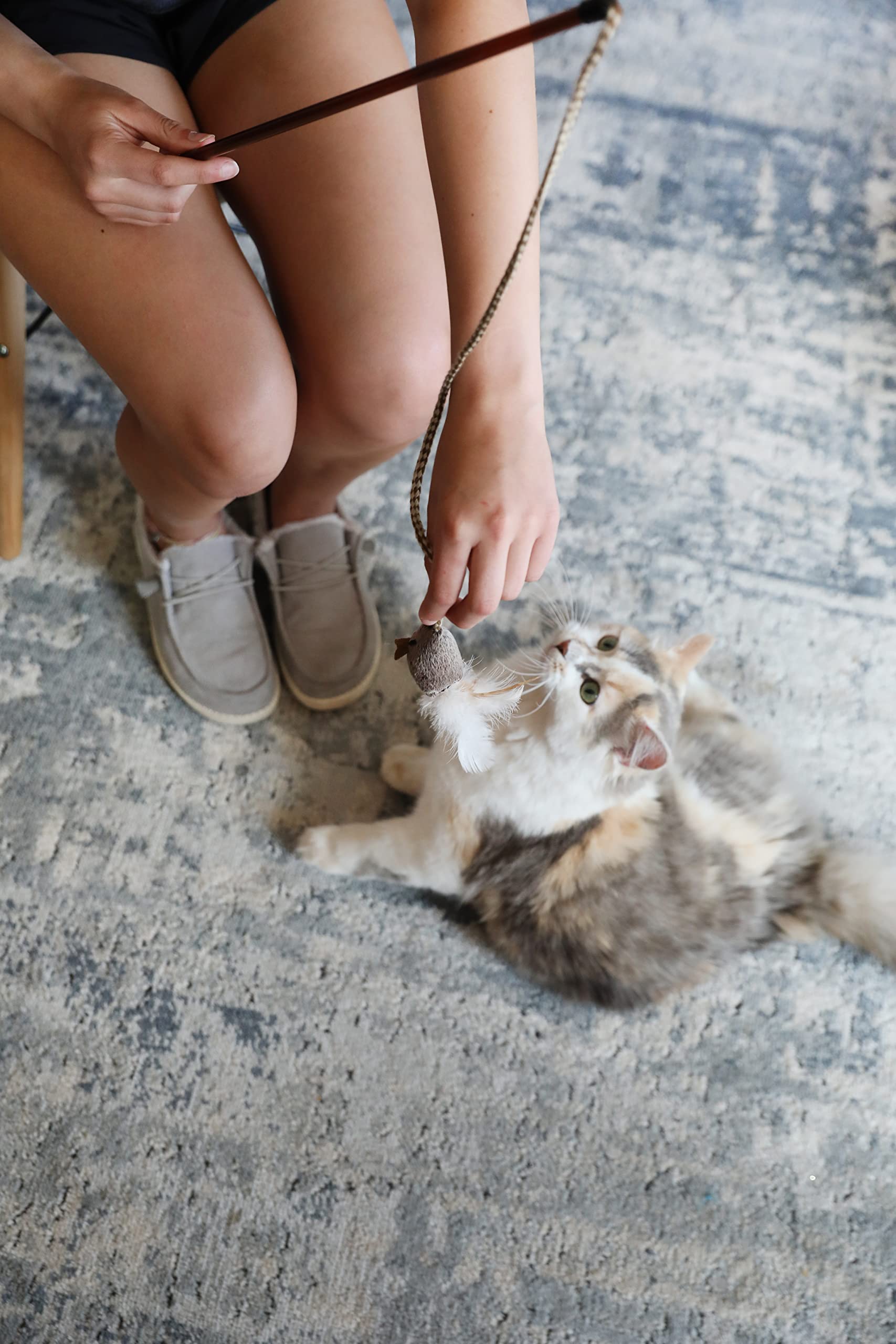 OurPets Estimulación mental y actividad física para gatos en casa.