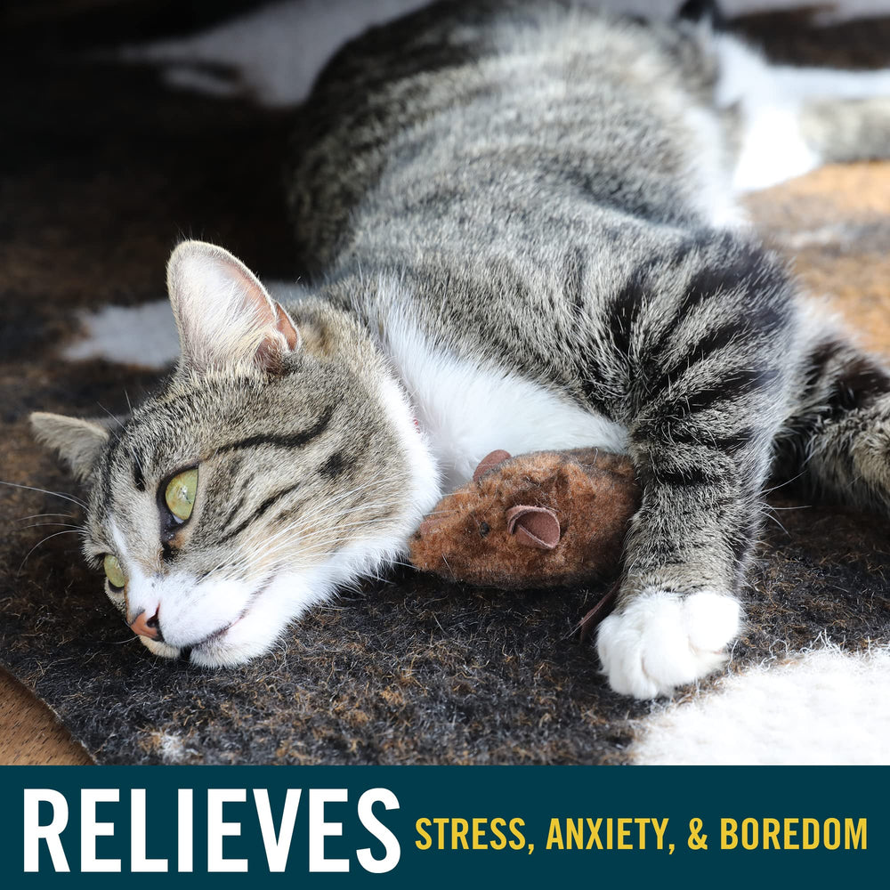 OurPets Play-N-Squeak Mouse Hunter toy showing electronic RealMouse sound during chase