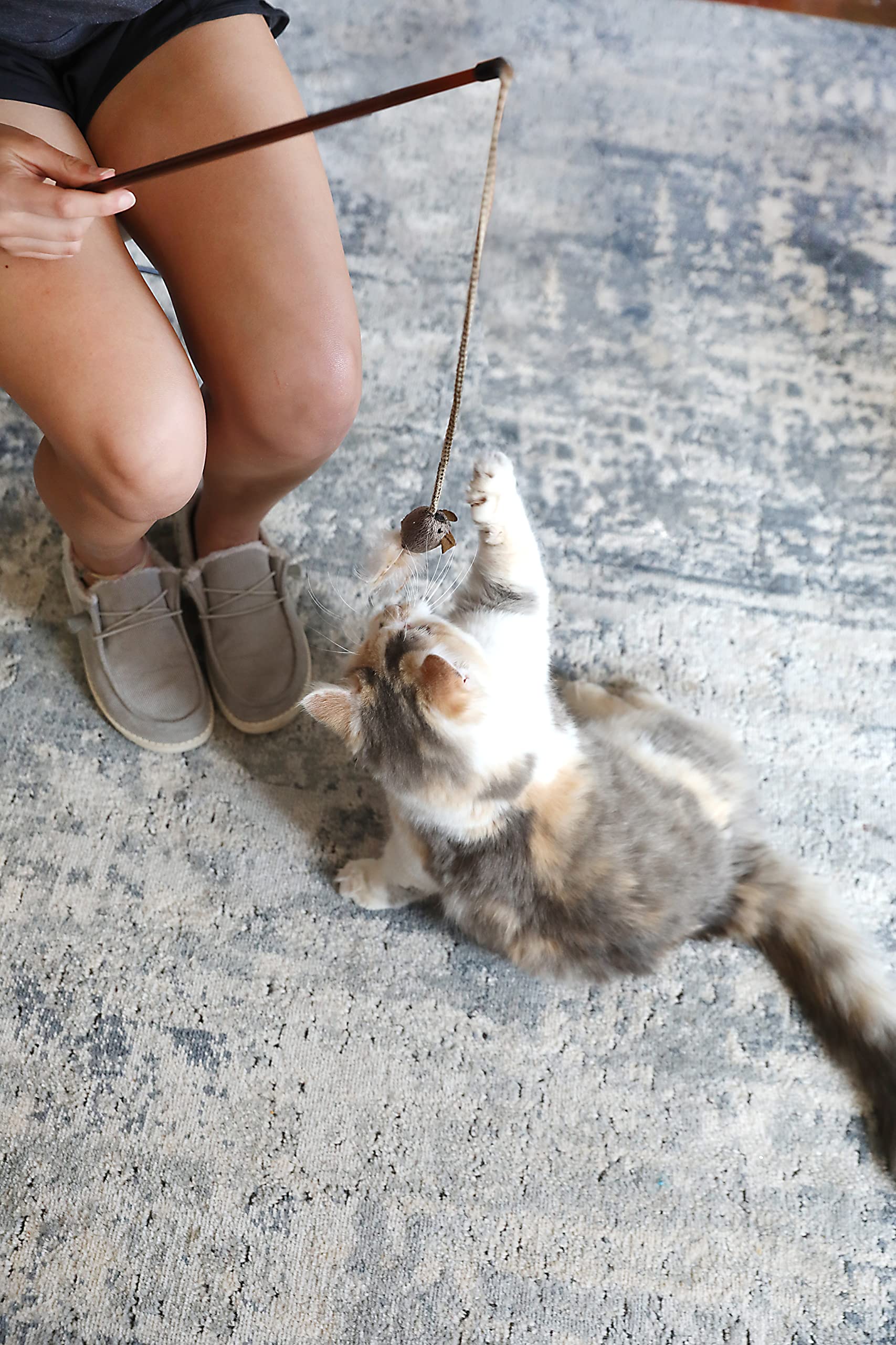 OurPets Opción anti-estrés para gatos durante el juego.