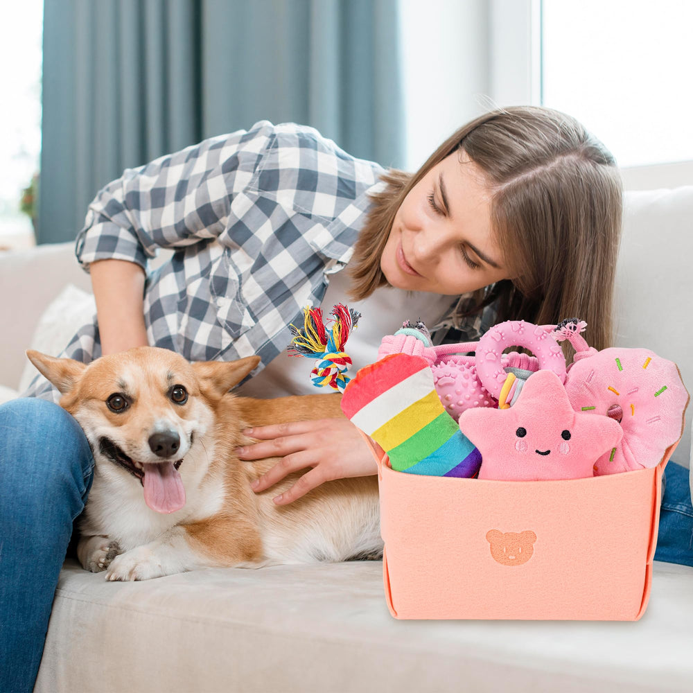 Ousiya all-in-one toy set montage highlights variety for teething, training, and play