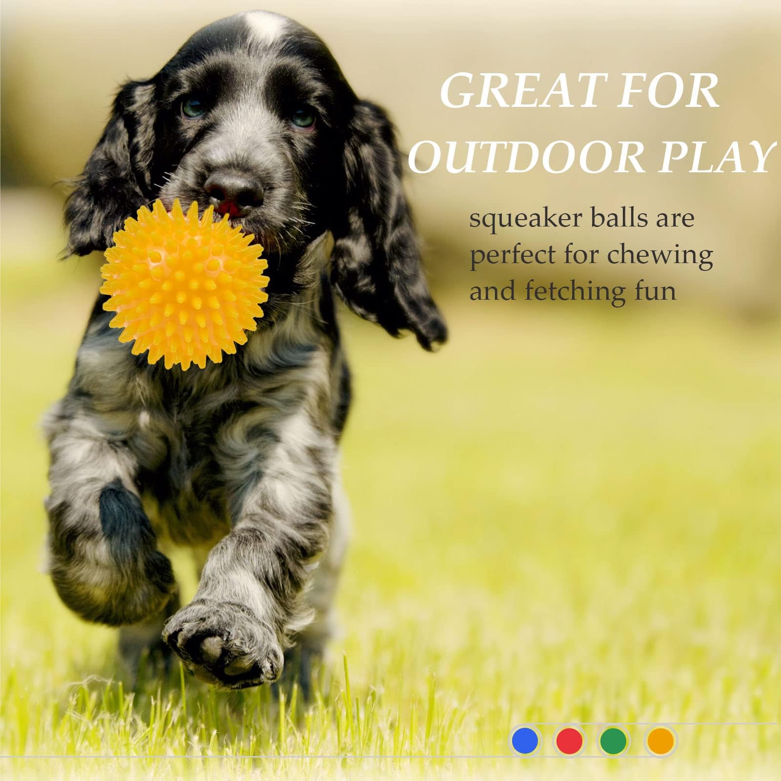 Ousiya squeaks add to dog toy interest during interactive toss and fetch