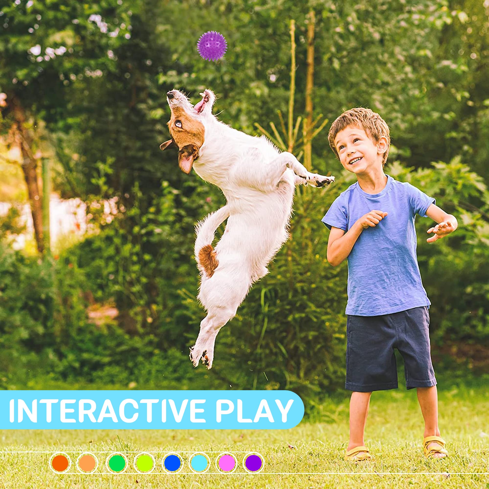 Ousiya eight-color set improves visibility during outdoor fetch sessions.