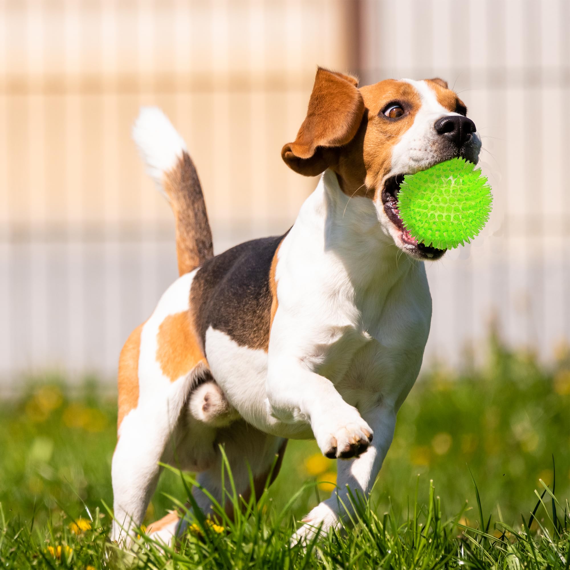 Ousiya fetch-ready ball in action for outdoor play.