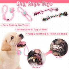 Ousiya plush squeaky toy adds comforting companionship and engaging play