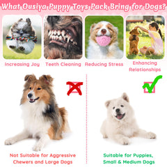 Ousiya small dog squeaky ball for interactive fetch and mental stimulation