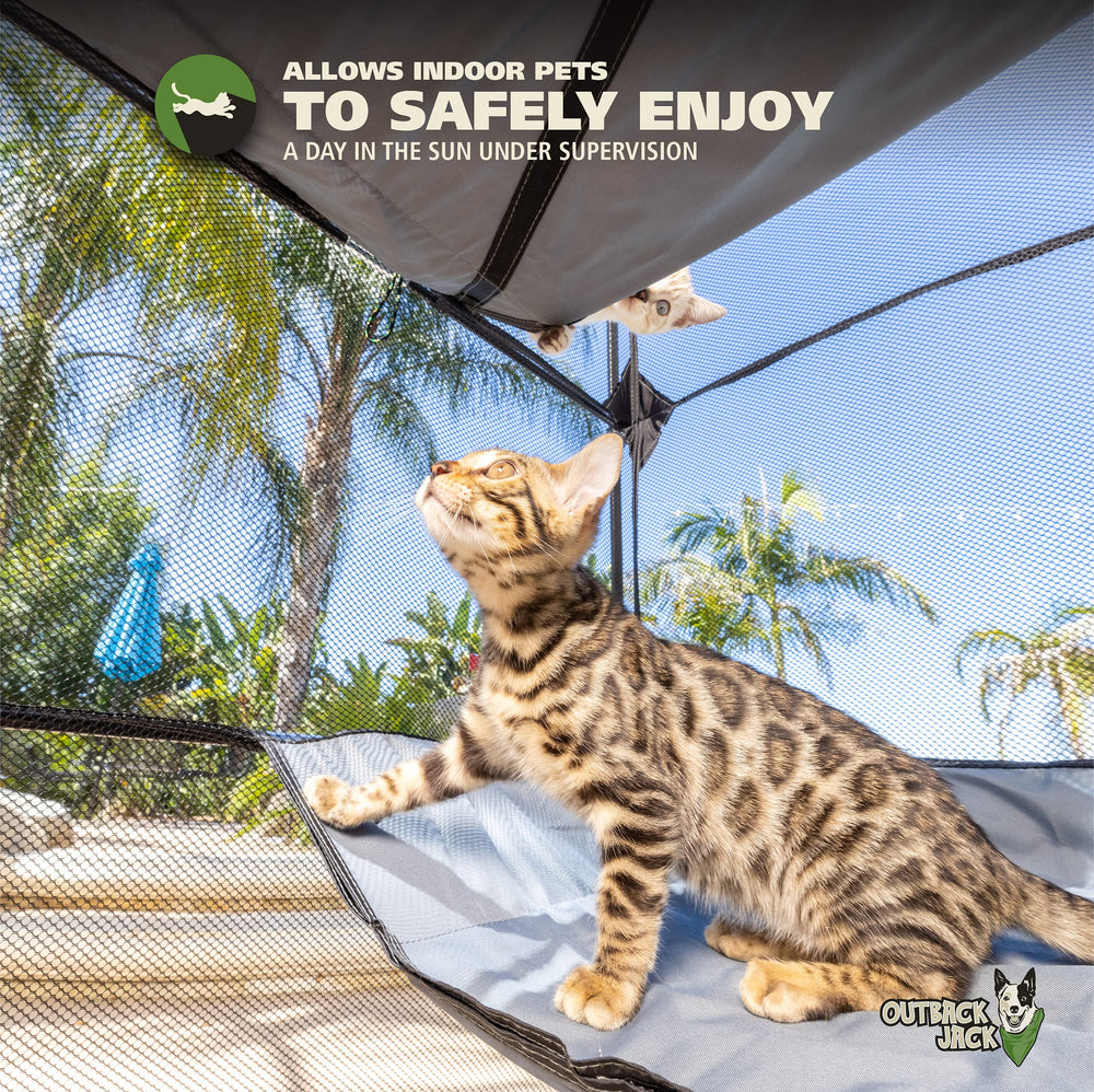 Outback Jack Catio indoor playpen for kittens and calm exploration