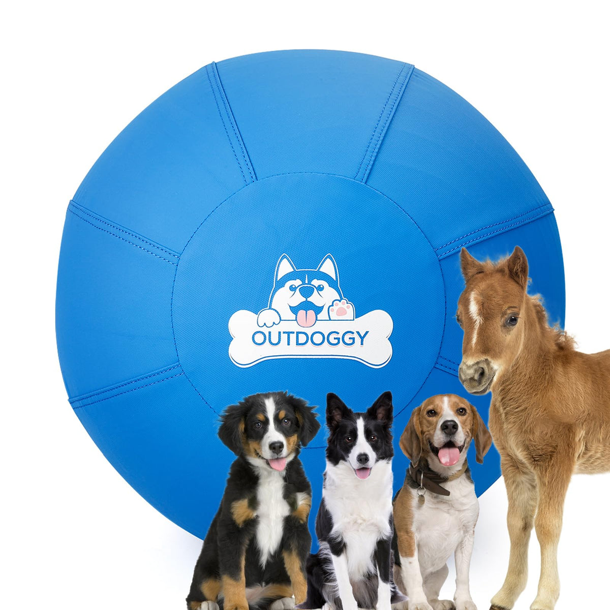 Outdoggy Herding Ball 22inch blue cover for backyard play and recall training.