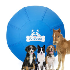 Outdoggy Herding Ball 22inch blue cover for backyard play and recall training.