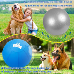 Outdoggy Herding Ball backyard play action during dog chase and herd motion.