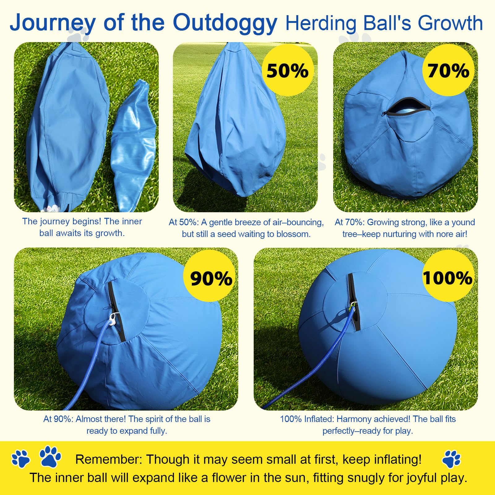 Outdoggy Herding Ball training session use with interactive fetch and recall.
