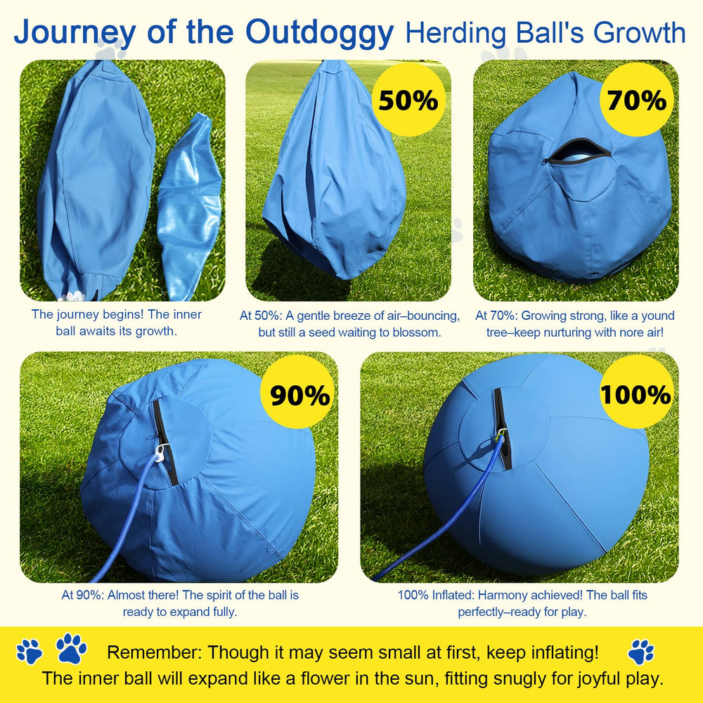 Outdoggy Herding Ball training session use with interactive fetch and recall.