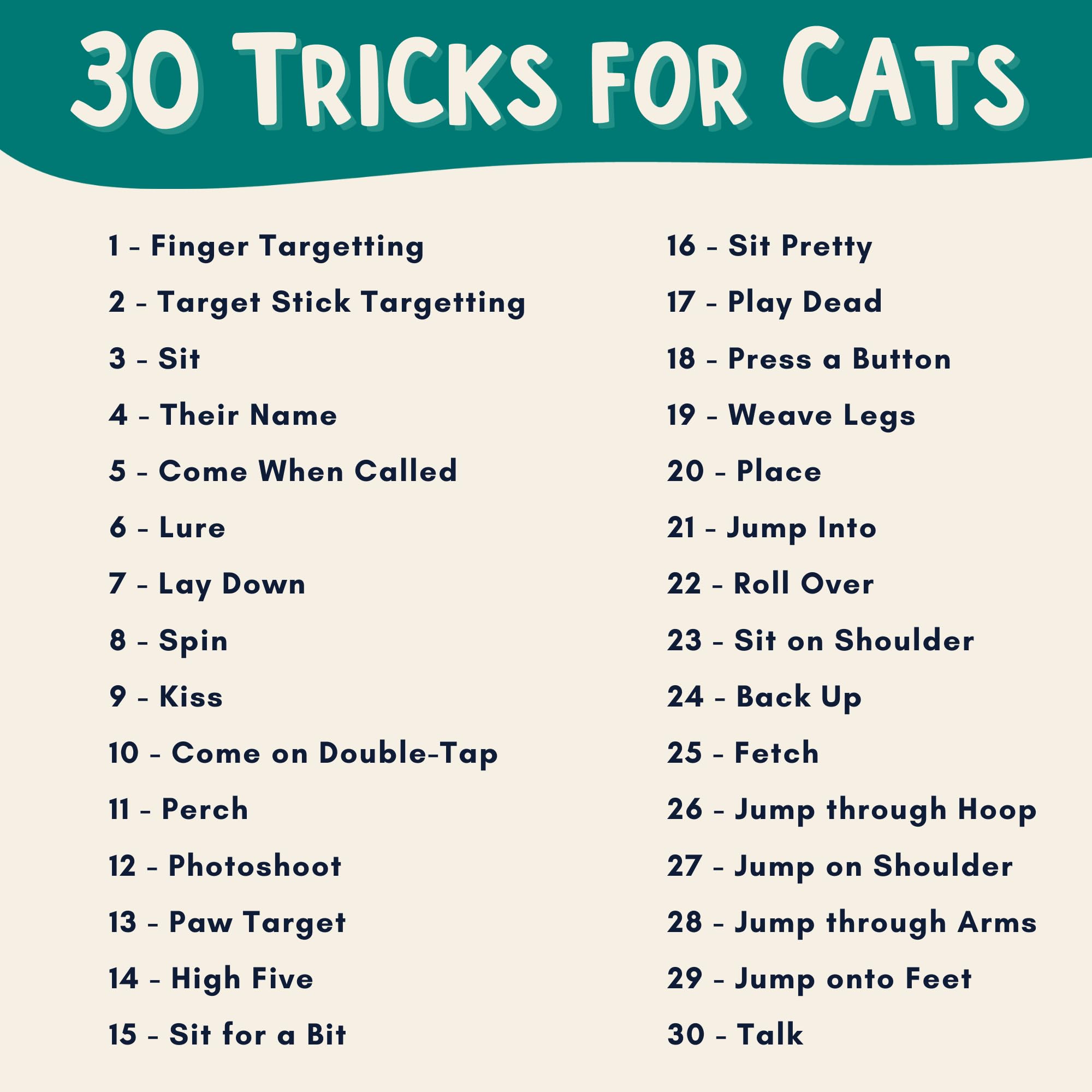 OutdoorBengal Cat tricks easy sit aids basic obedience through positive reinforcement.