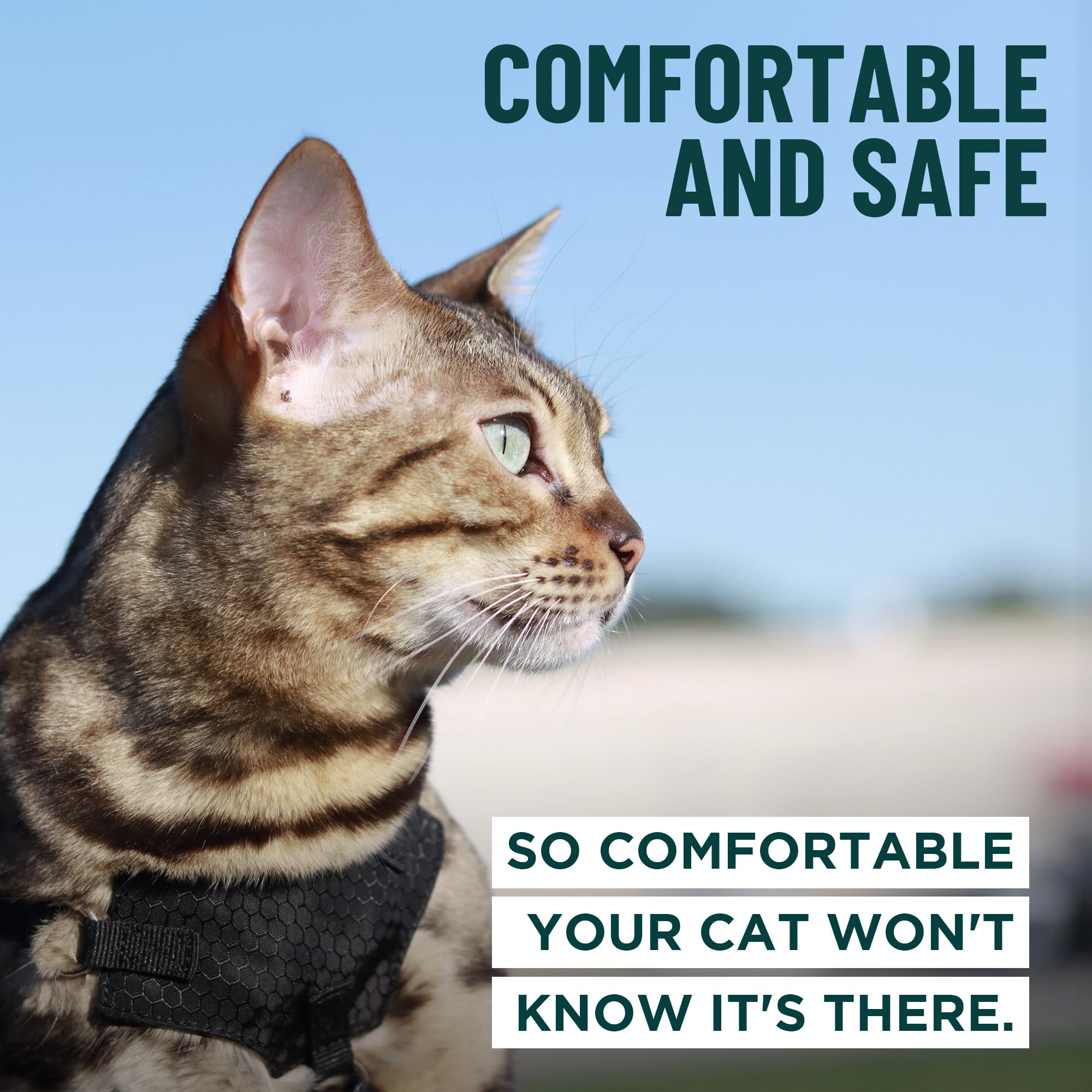 OutdoorBengal Houdini harness adjustable straps closeup for snug fit.