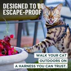 OutdoorBengal Houdini harness closeup padded chest for comfortable wear.