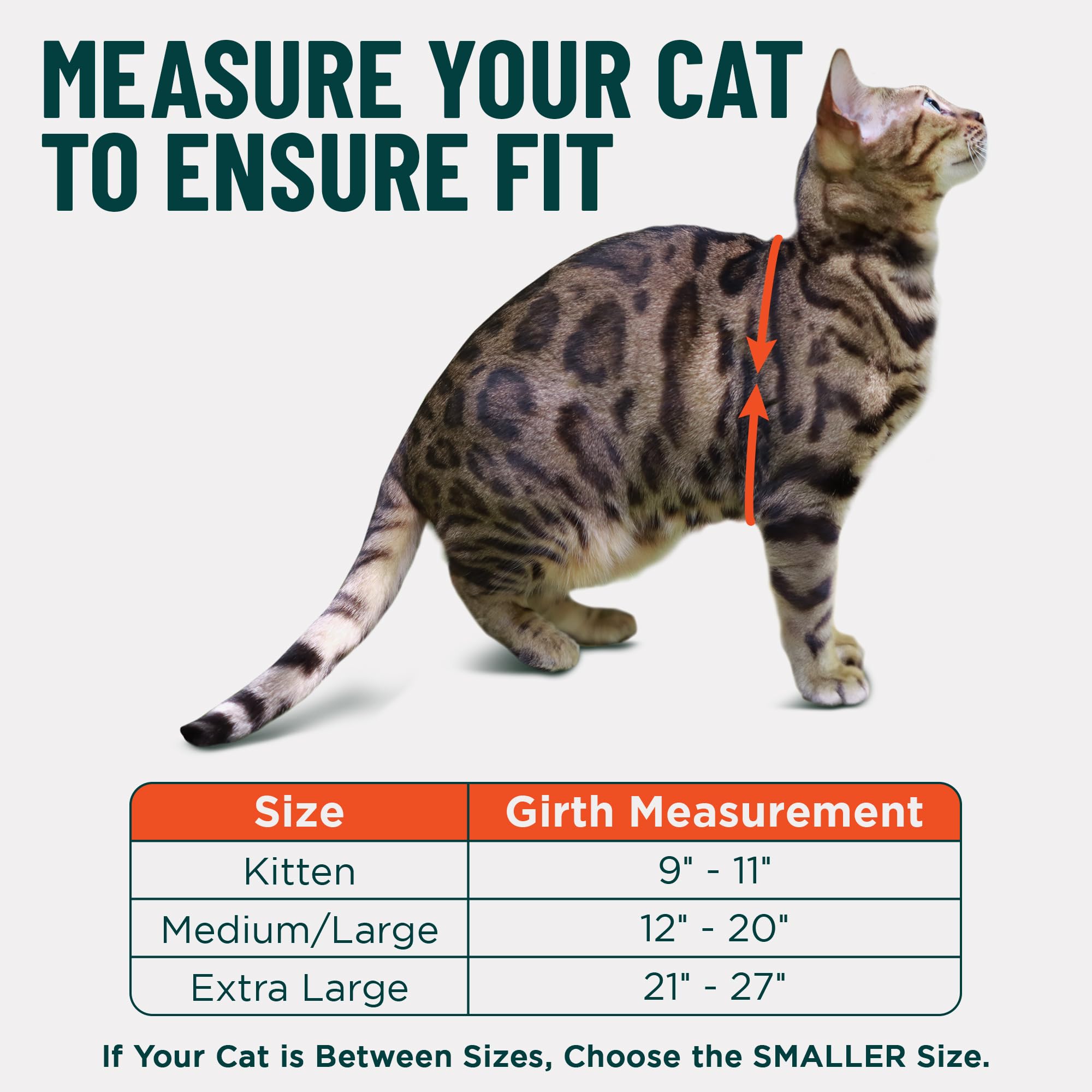 OutdoorBengal Houdini harness red adjustable straps close-up for precise fit