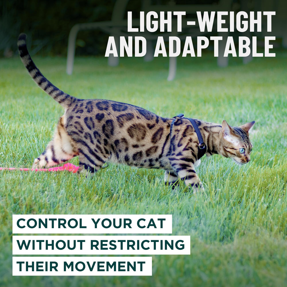 OutdoorBengal Houdini harness red chest mesh supports movement and cooling