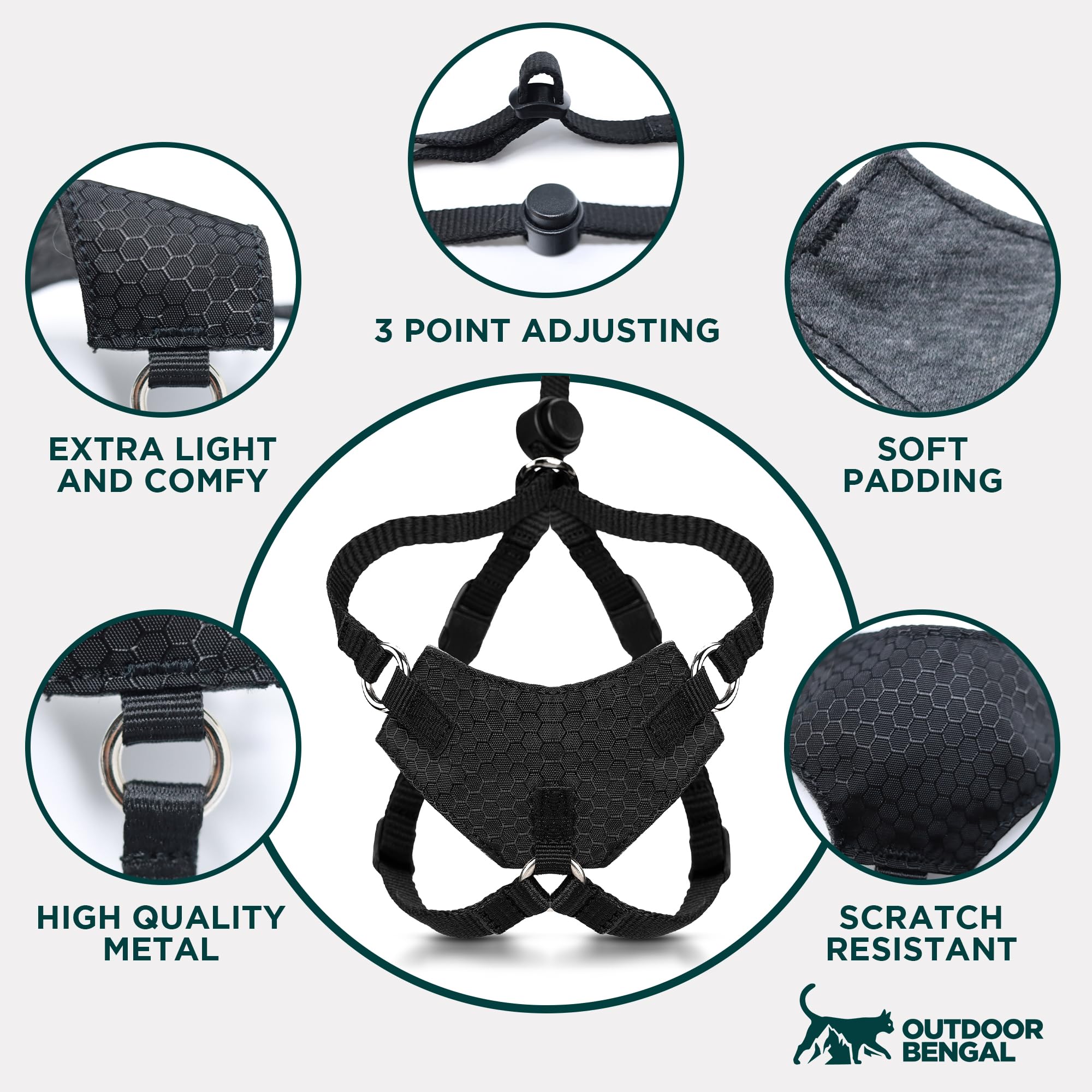 OutdoorBengal Houdini leash setup ready for park walks
