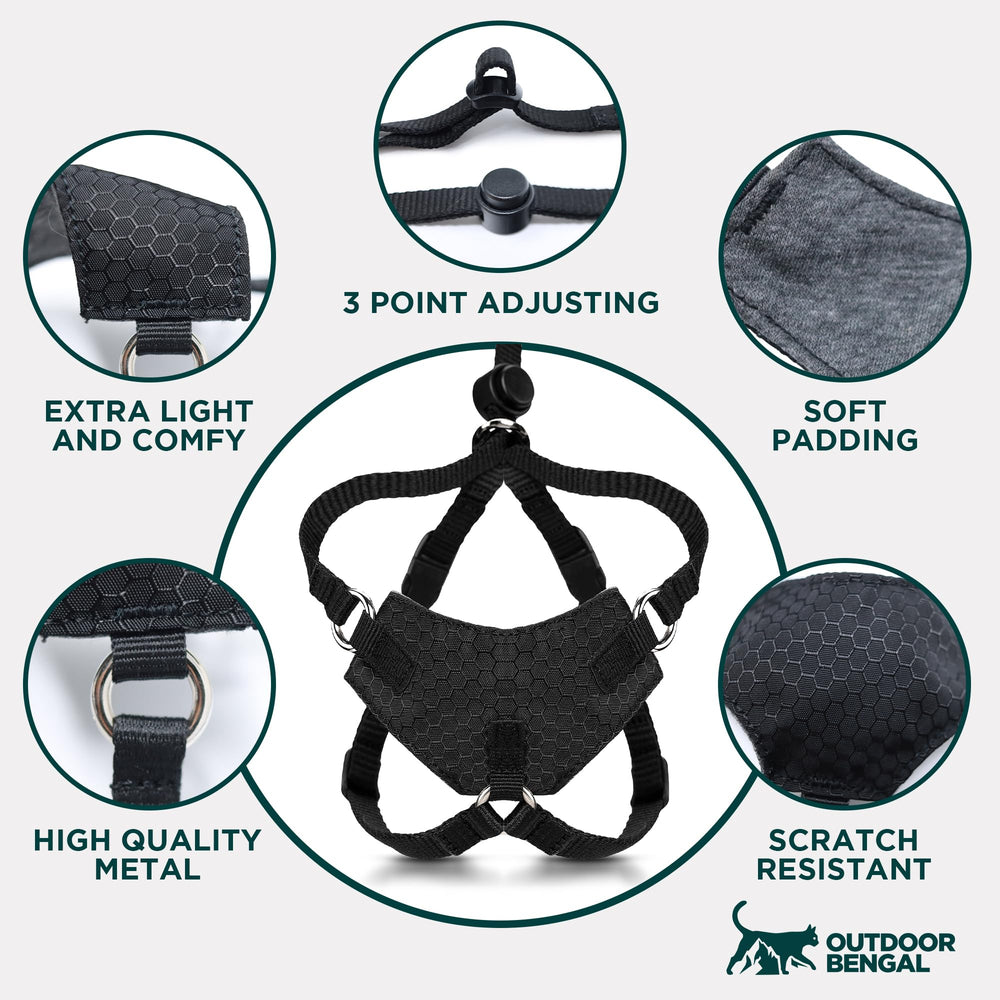OutdoorBengal Houdini leash setup ready for park walks