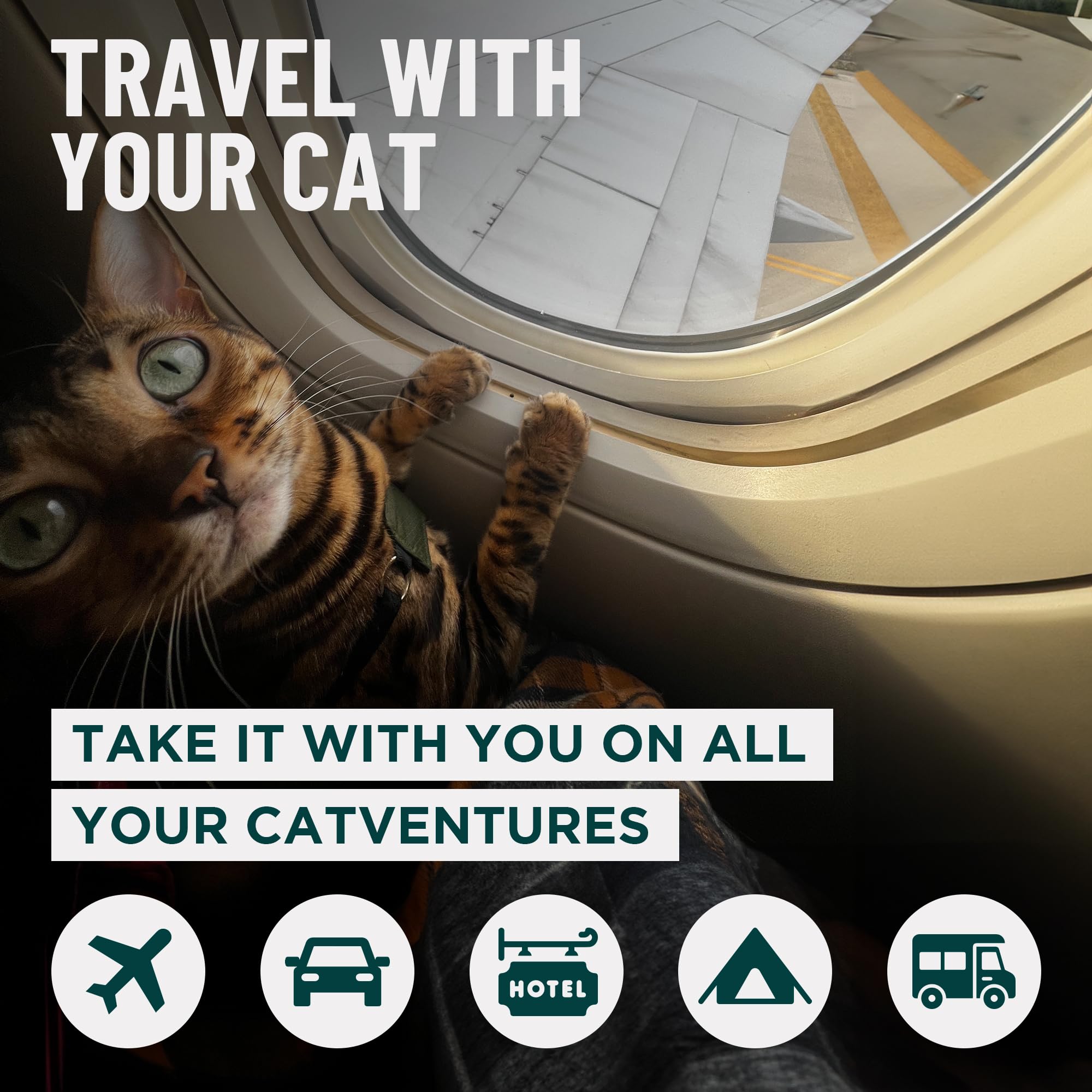 OutdoorBengal Travel Litterbox Open with cat for comfortable travel use.